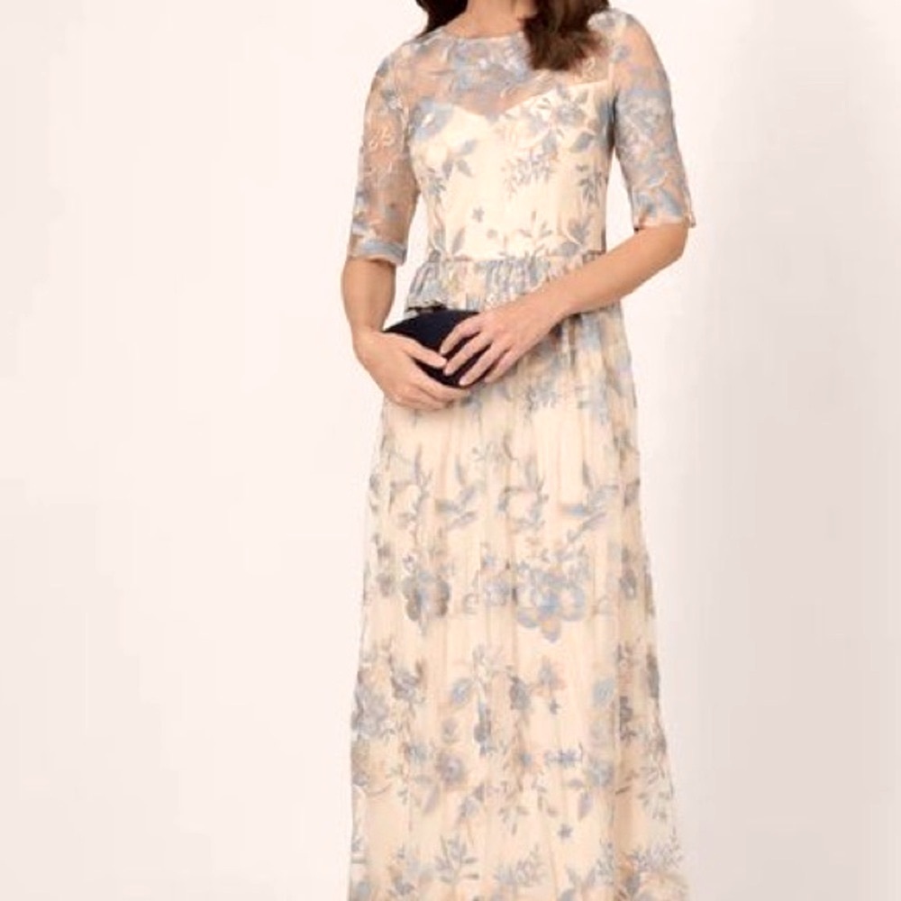 NWT Adrianna Papell Long Illusion Embellished Mesh Gown Size 4